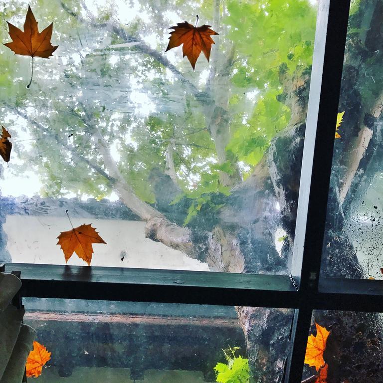 Youxiake Canal Hotel Hangzhou Zewnętrze zdjęcie